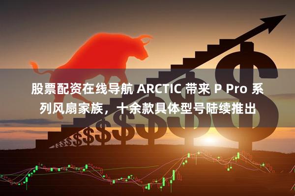 股票配资在线导航 ARCTIC 带来 P Pro 系列风扇家族，十余款具体型号陆续推出