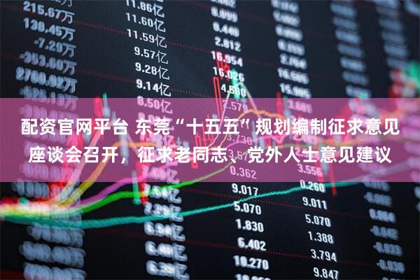 配资官网平台 东莞“十五五”规划编制征求意见座谈会召开，征求老同志、党外人士意见建议