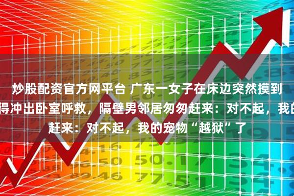 炒股配资官方网平台 广东一女子在床边突然摸到金黄色长蛇，吓得冲出卧室呼救，隔壁男邻居匆匆赶来：对不起，我的宠物“越狱”了
